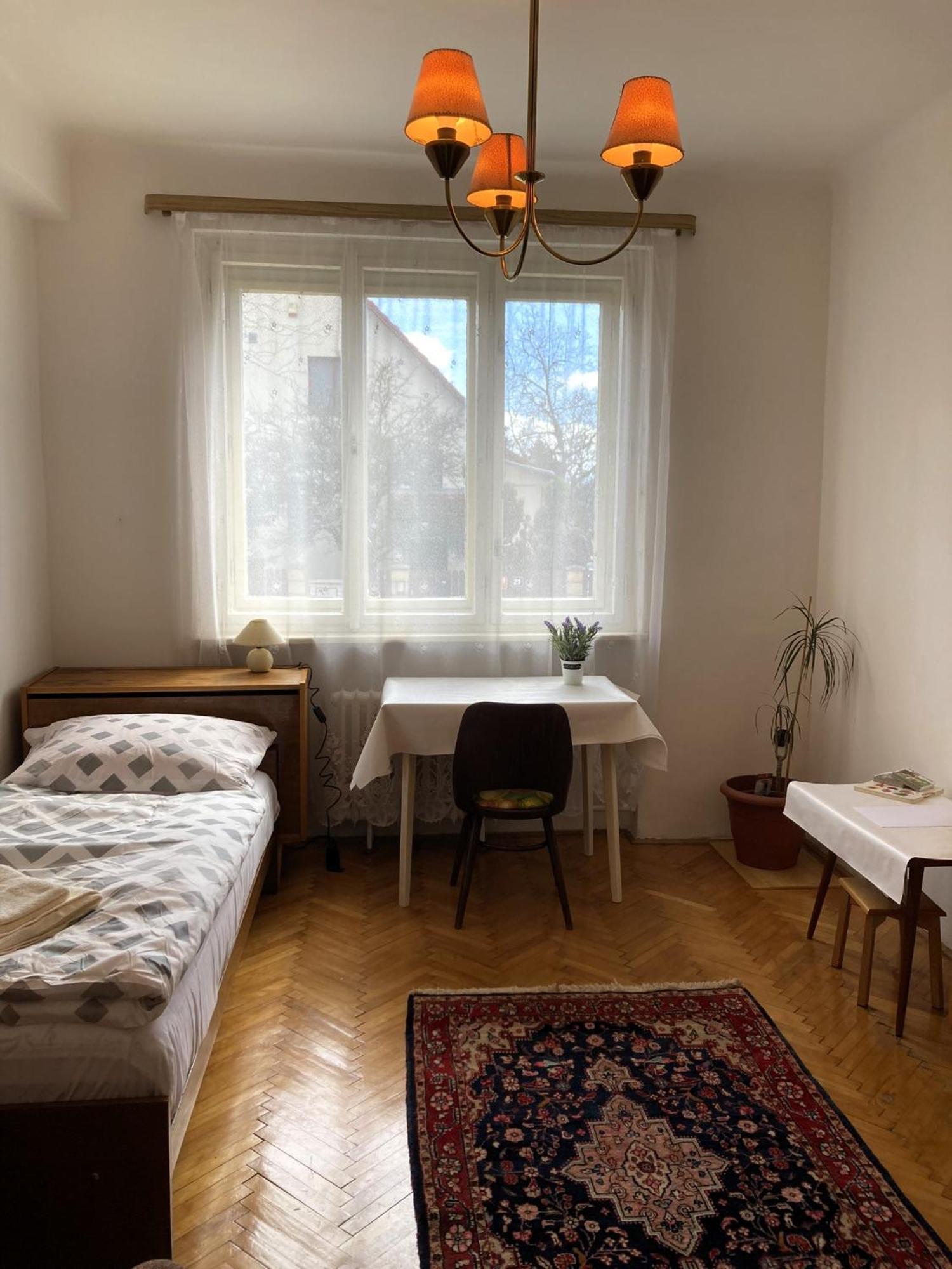 Spacious Apartment - Free Parking! プラハ エクステリア 写真